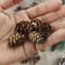 320PCS Natural Mini Pine Cones – 1.18"–1.97" Bulk for DIY Crafts, Home Decoration, Fall, Christmas, and Wedding Decor